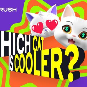 Are Pokemon REAL?! | Semrush's New Game Show - Which Cat Is Cooler?