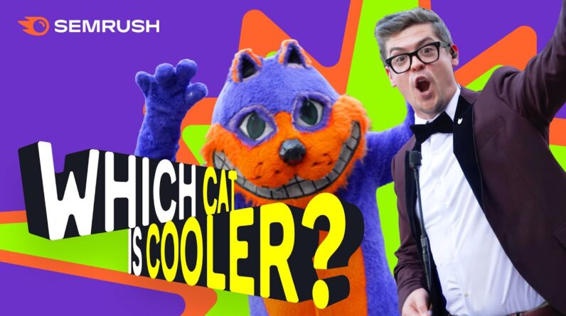 Most Searched Things on Google | Which Cat Is Cooler?