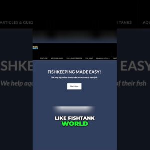 Why Your Website Needs Structured Navigation Menus