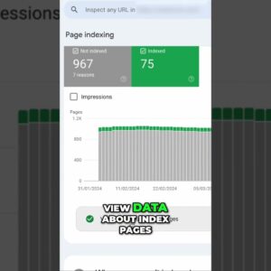 Google Crawl Error? Fix Your Indexing NOW!