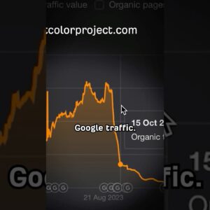 Google's Algorithm Crushed This Business