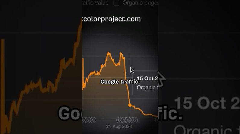 Google's Algorithm Crushed This Business