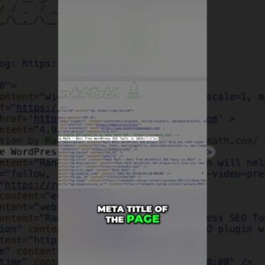 What Are SEO Meta Tags?