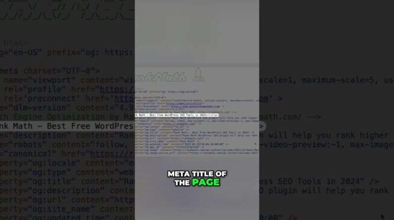 What Are SEO Meta Tags?